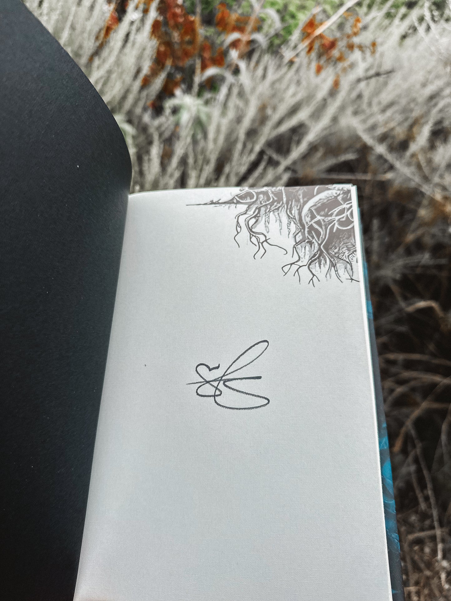 Bury Our Bones in the Midnight Soil — Signed Edition!
