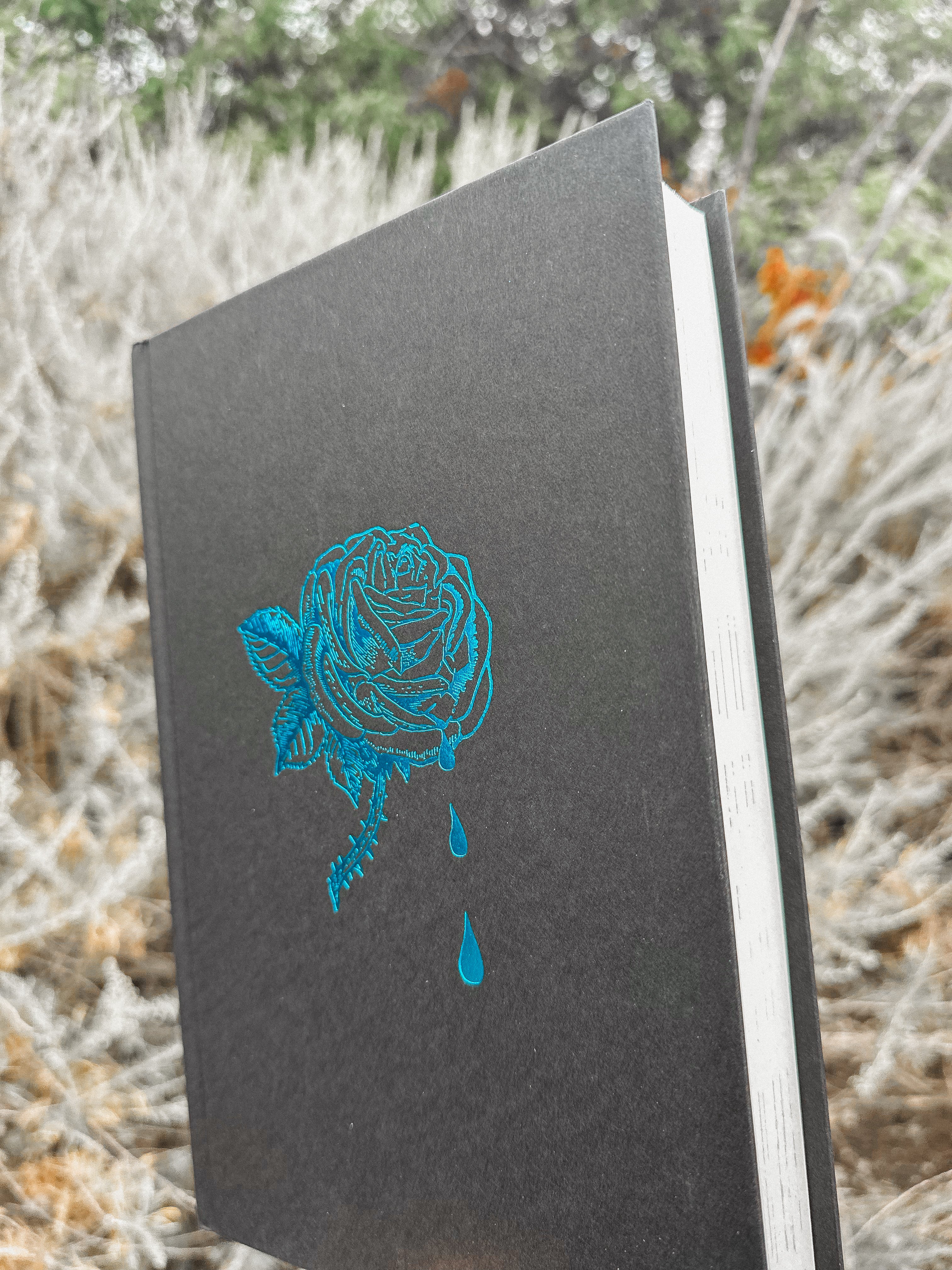洋書 Bury Our Bones In The Midnight by Soil Bury Our Bones in the Midnight Soil: Schwab, V. E.