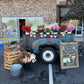 Stems & Stories: Blind Date Books & Flower Bouquet Bundles (PICKUP DATES 2/10 - 2/13)